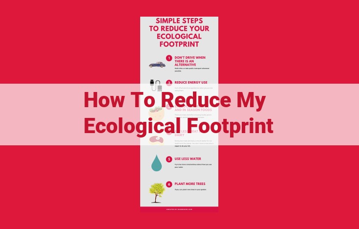 Optimize Your Ecological Footprint: Sustainable Living for a Brighter Future