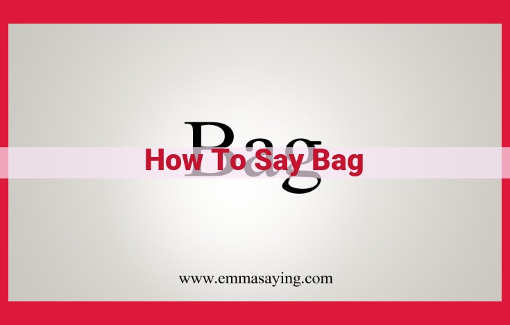 Comprehensive Guide to the Types of Bags: Function, Features, and Usage