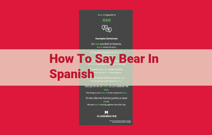 Spanish Translation for "Bear": Unlock the Correct Term "Oso"