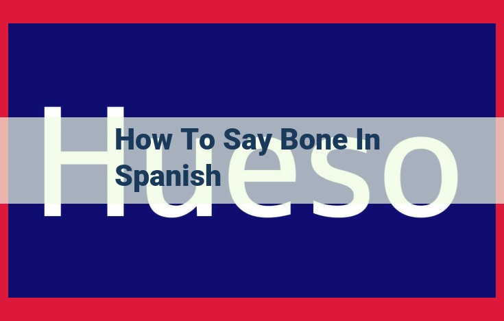 Discover the Spanish Word for "Bone": A Comprehensive Guide