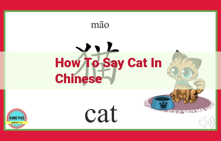 How to Write "Cat" in Chinese: Essential Character Guide for Learners