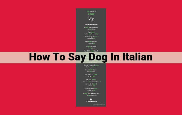 Expressing "Dog" in Italian: A Guide to "Cane" and Its Variations