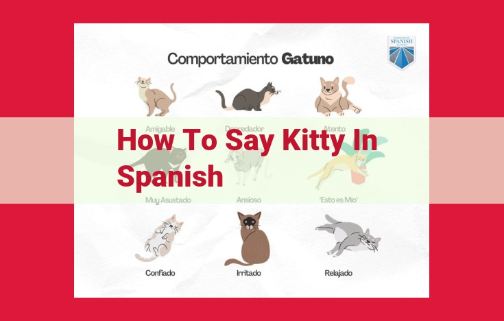 How to Say "Kitty" in Spanish: A Guide to "Gatito" and "Gatita"