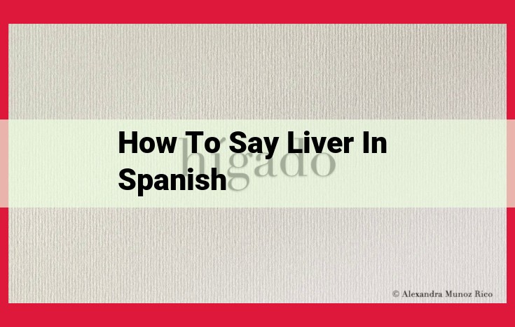 Discover the Spanish Word for "Liver" and its Medical Significance