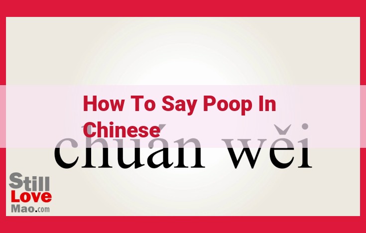 Unveiling the Nuances of Chinese Vocabulary and Cultural Practices for Poop