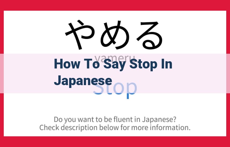 Complete Guide: Expressing "Stop" in Japanese (Imperative Forms)