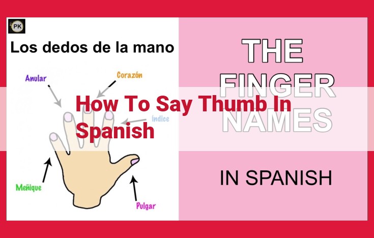 Spanish: The Origin of "Thumb" and Its Linguistic and Cultural Connections