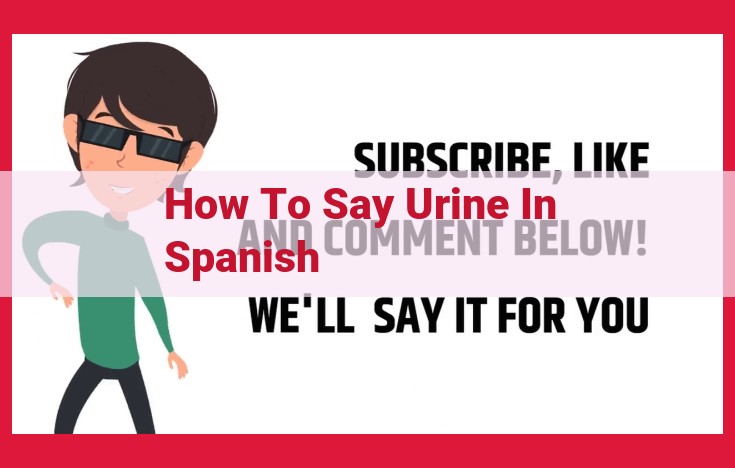 How to Say "Urine" in Spanish: A Comprehensive Guide